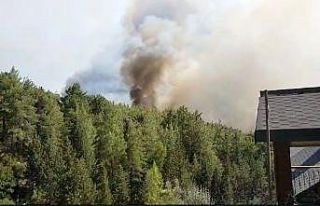 Antalya’da ormanlık alanda yangın