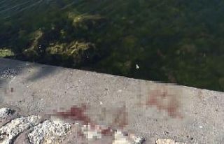 Avcılar’da feci cinayet: Önce bıçakladılar,...