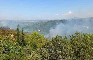 Balıkesir’deki orman yangınlarına müdahale sürüyor