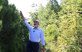 Başkan Çolakbayrakdar: "Daha yeşil bir Kayseri...