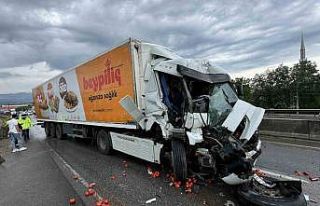 Beypiliç tırı dehşet saçtı: Anne, baba ve çocukları...