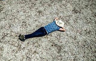 Bilinçsiz sulama, flamingoların durağı Kamış...