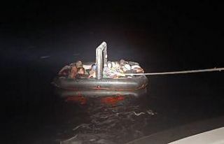 Bodrum’da 20 düzensiz göçmen yakalandı, 20 düzensiz...