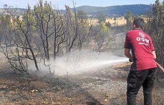 Bozüyük’te çıkan anız yangını ormanlık alana...