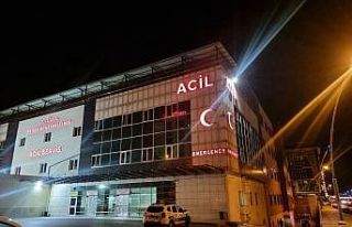 Çocuk kavgasında anne ve 2 oğlu hayatını kaybetti