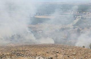 Denizli’de ormanlık alanda çıkan yangına müdahale...