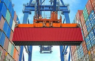 Düzce’den 6 bin 478 ton ihraç edildi