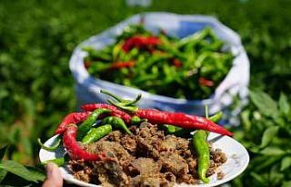 Edirne’de kavurucu sıcaklar Karaağaç biberinde...