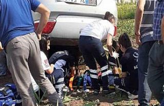 Erzincan’da iki ayrı trafik kazasında 9 kişi...