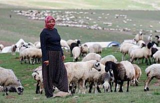 Erzurum’da 3 bin rakımda 3 yüz çadır kurulu