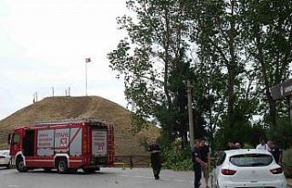 Fırtına ağacı kökünden söktü: 1 otomobil zarar...