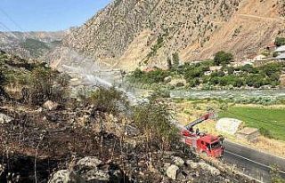 Hakkari-Van kara yolu yakınında anız yangını