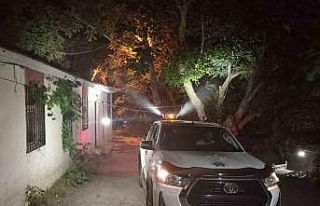 Hakkari’de haşere ile mücadele devam ediyor