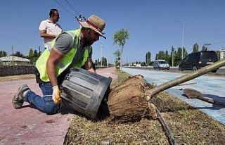 Iğdır Belediyesi şehrin farklı yerlerine yeni...