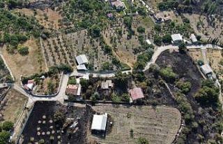 İzmir’deki orman yangının boyutu gün ağarınca...