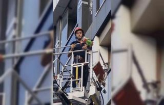 Kağıthane’de itfaiyenin fırçalı kuş kurtarma...