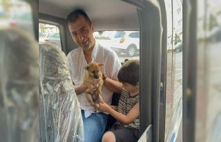 Konya’da otomobilin motor kısmına giren yavru...