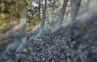 Ormanda yıldırım düşmesi sonucu çıkan yangın...