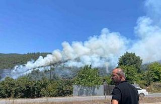 Ormanlık alanda çıkan yangın için ekipler seferber...