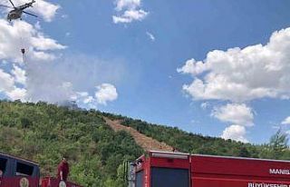 Ormanlık alanda çıkan yangın kısa sürede söndürüldü