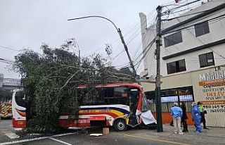 Peru’da kontrolden çıkan otobüs yaya geçidine...