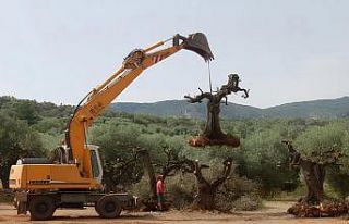 Prof. Dr. Tümen: “İklim değişikliği kapımıza...