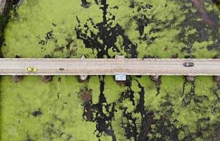 Su akışı durdu, Tunca Nehri yeşile döndü