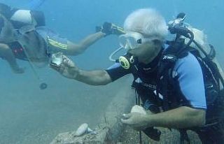 Su altında midyeyle domuz balığını besleyen profesör,...