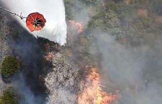 Susurluk’ta araç kazası orman yangınına dönüştü