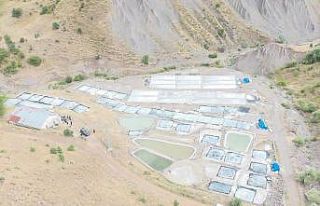 Vali Tekbıyıkoğlu, Türkiye’nin en kaliteli tuzunun...