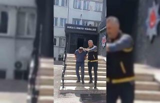 Vatandaşı parçalayan Kangal köpeğinin sahibi...