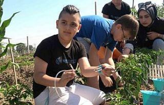 Yalova’da ilkokul öğrencileri tarımsal sulama...