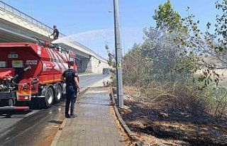 Yol kenarına atılan sigara izmariti yangın çıkardı