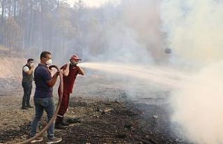 Bakan Yumaklı açıkladı: "Muğla’daki yangınlar...