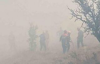 Bolu’da kontrol altına alınan yangın tekrar alevlendi