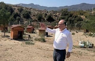 Buldan’da tepkiler artınca, Başkan barınağa...