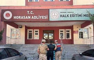 Büyükbaş hayvan hırsızları jandarmadan kaçamadı