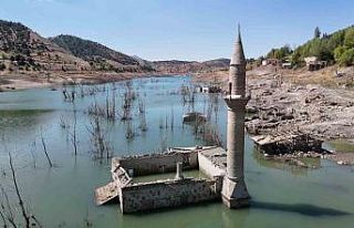 Eski köy 20 yıl sonra gün yüzüne çıktı