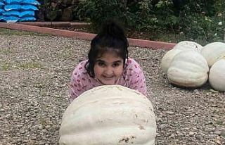 Hobi olarak evinin bahçesine kabak ekti, 500 kilo...