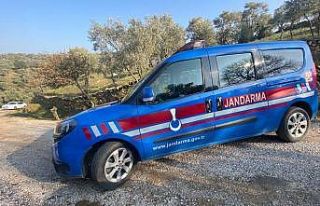 İncir hırsızı jandarmaya suçüstü yakalandı
