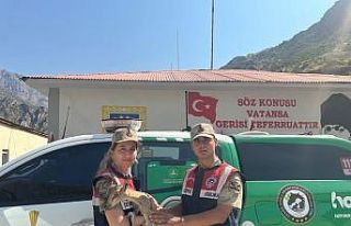 Jandarmadan yavru dağ keçisine şefkat eli