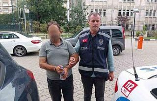 Kiraladığı araçla göçmen kaçakçılığı yapan...