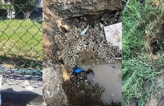 Manisa FK’nın kaçak su kullandığı tespit edildi