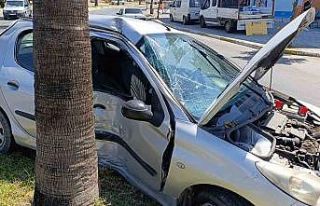 Otomobil refüjdeki palmiyeye çarptı, araçtaki...