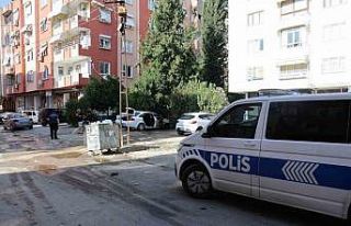 Park halindeki otomobil alev topuna döndü