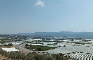 Sarıgöl ovası soğuk hava deposuna dönüştü