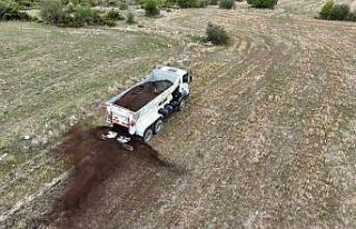 Selçuklu Belediyesi, çiftçilere kolaylık sağlayacak...