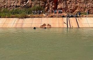 Sulama kanalında aranan kardeşlerden ikincisinin...