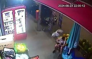 Sultangazi’de boğazında yemek kalan martı adeta...