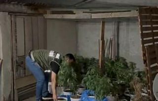 Sultangazi’de evinin çatı katında uyuşturucu...